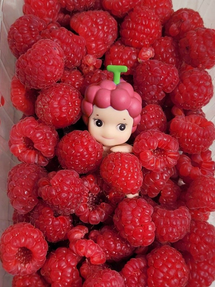 Sonny Angel hipper phone attachable figurine, harvest series look alike for Smart Phone!!!